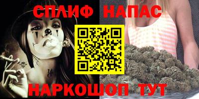 дурь Кингисепп