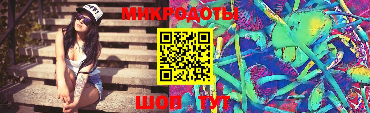 Керчь  Псилоцибиновые грибы MAGIC MUSHROOMS  Вход с VPN  продажа наркотиков  Псилоцибиновые грибы Psilocybe 